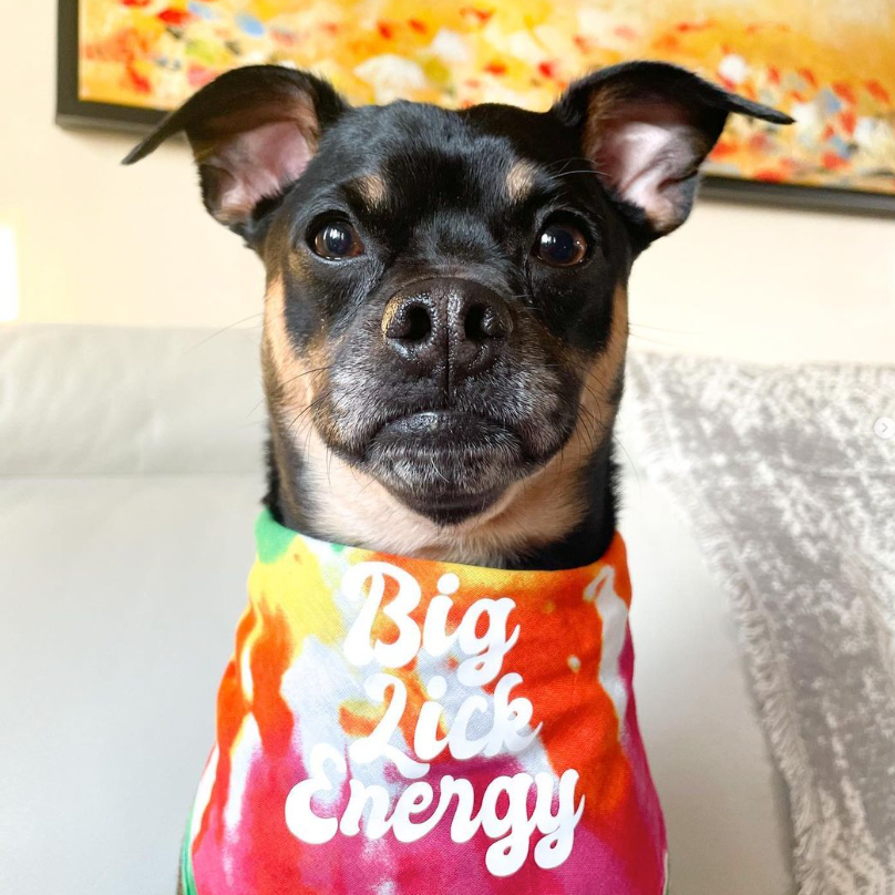 Big Lick Energy Bandana