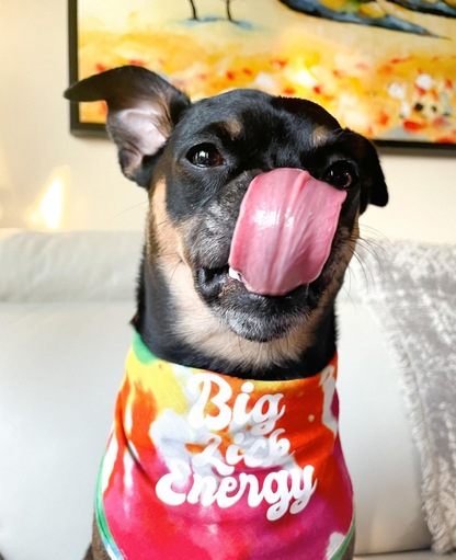 Big Lick Energy Bandana