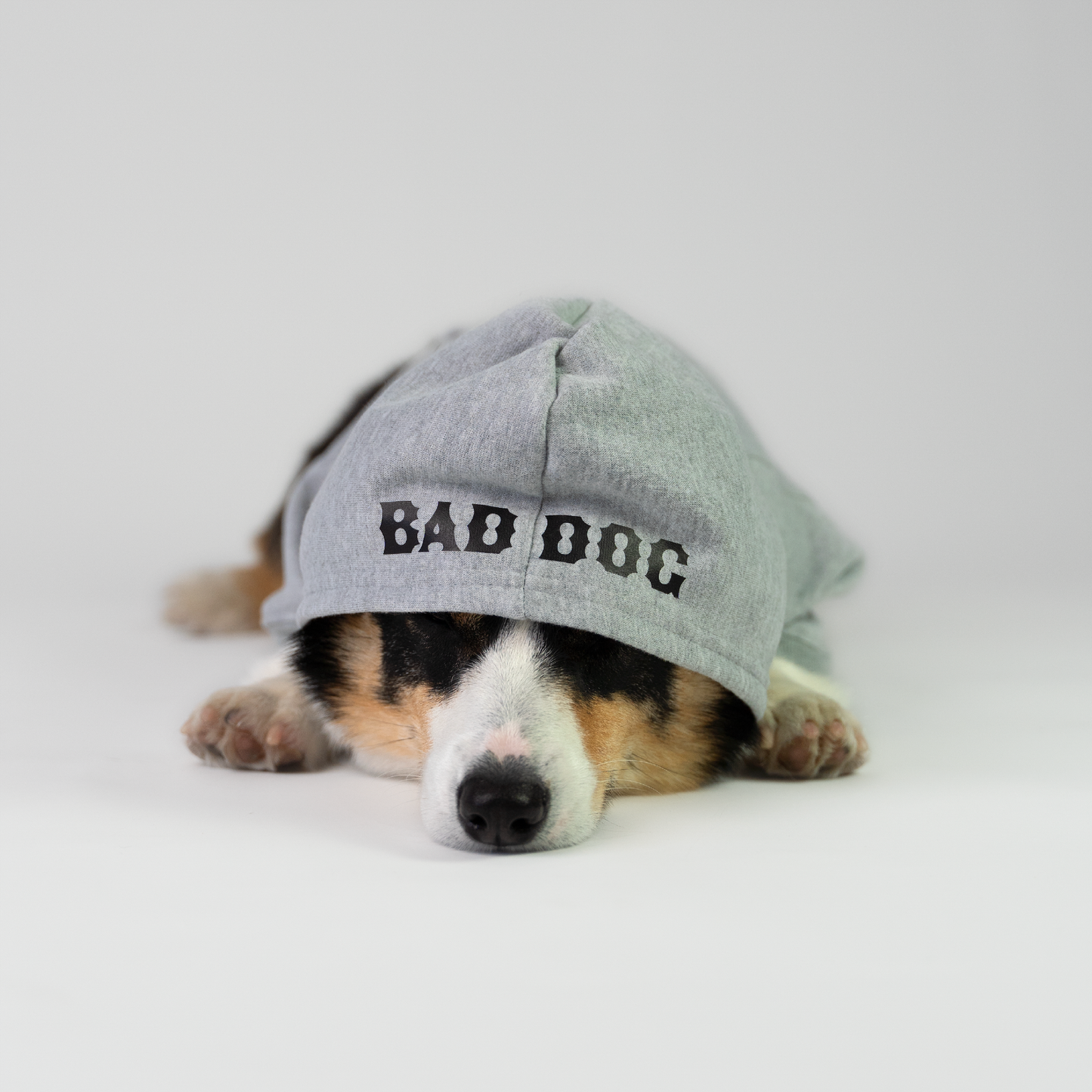 Bad Dog - Dog Hoodie