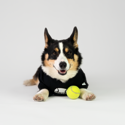 Ball is Life Dog Hoodie